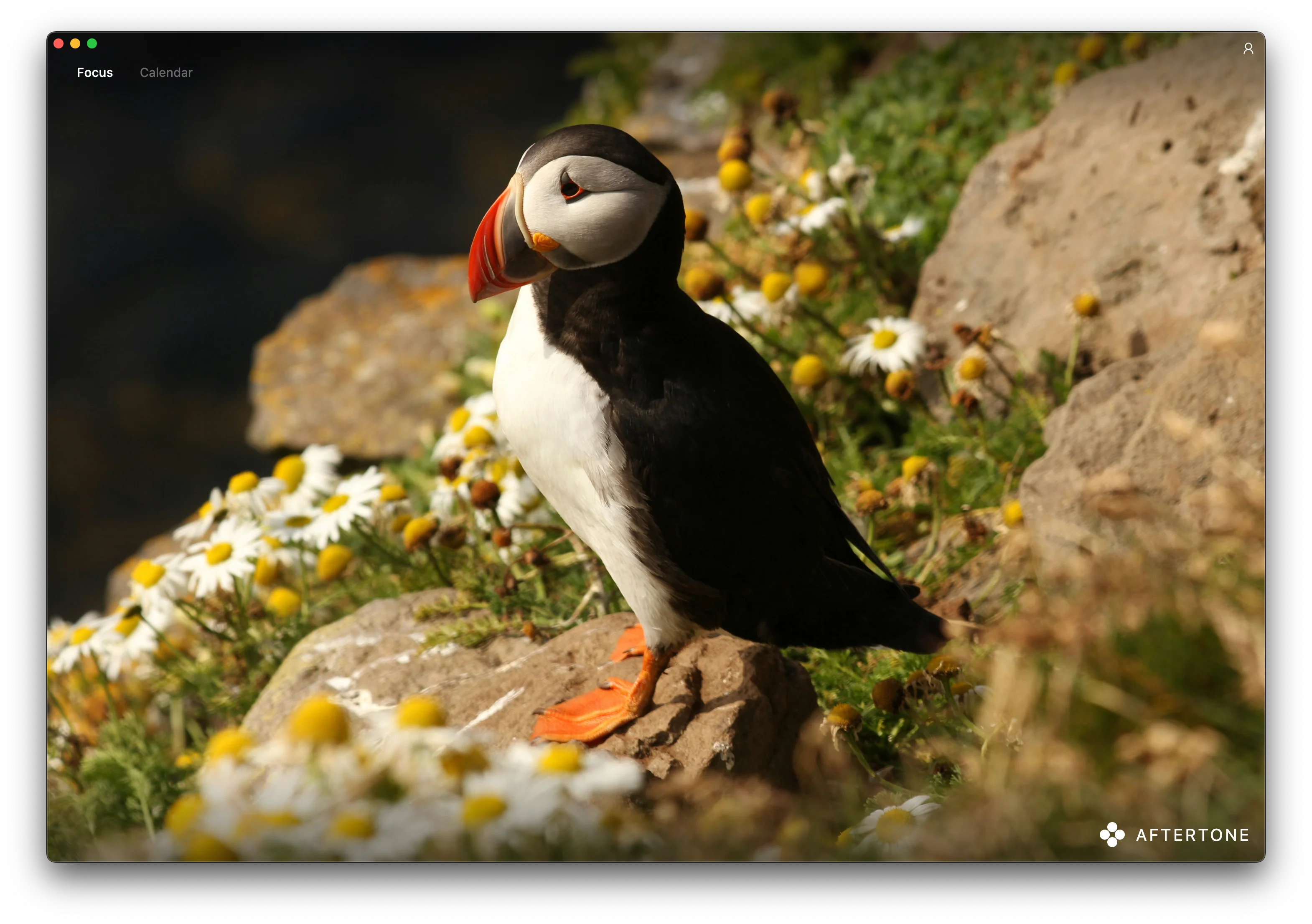 Aftertone Time Blocking